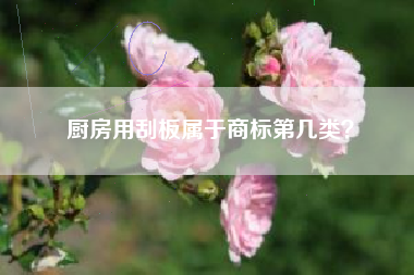 厨房用刮板属于商标第几类？