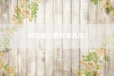 锡箔属于商标第几类？