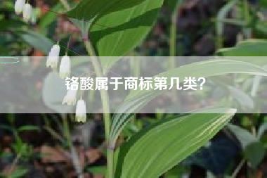 铬酸属于商标第几类？