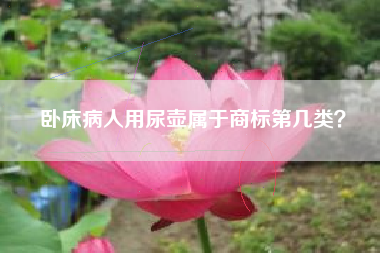 卧床病人用尿壶属于商标第几类？
