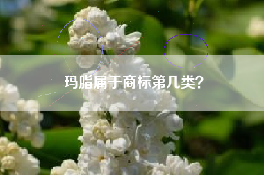 玛脂属于商标第几类？
