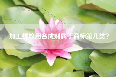 加工螺纹用合成剂属于商标第几类？