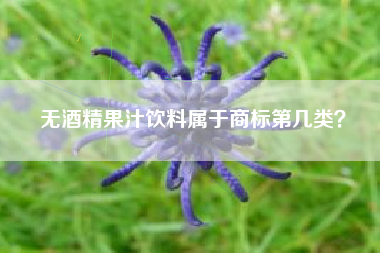 无酒精果汁饮料属于商标第几类? 无酒精果汁饮料属于商标第几类?