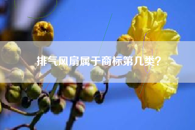 排气风扇属于商标第几类？