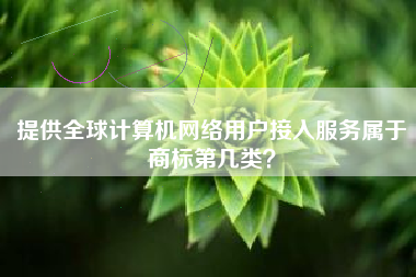 提供全球计算机网络用户接入服务属于商标第几类？