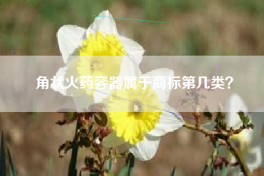 角状火药容器属于商标第几类？
