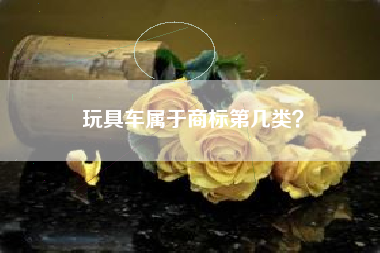 玩具车属于商标第几类？