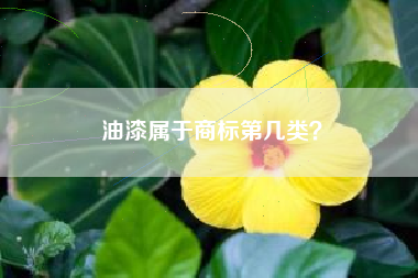 油漆属于商标第几类？