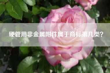 硬管用非金属附件属于商标第几类？