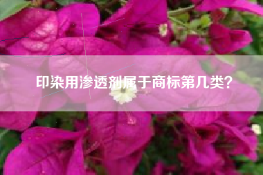 印染用渗透剂属于商标第几类？