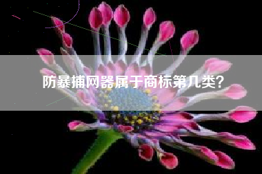 防暴捕网器属于商标第几类？