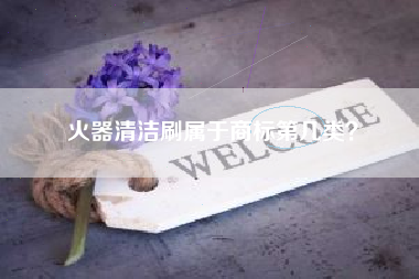火器清洁刷属于商标第几类？