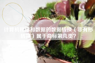 计算机程序和数据的数据转换（非有形转换）属于商标第几类？