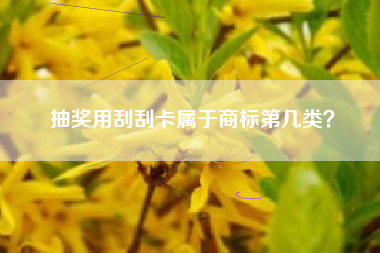 抽奖用刮刮卡属于商标第几类？