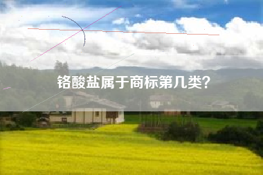 铬酸盐属于商标第几类？