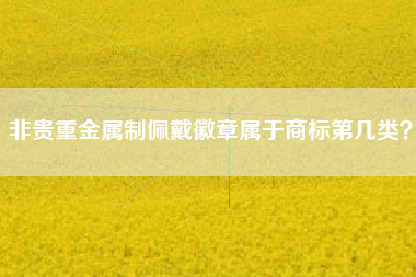 非贵重金属制佩戴徽章属于商标第几类？