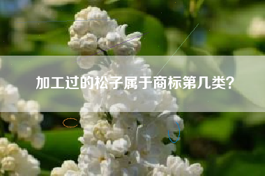 加工过的松子属于商标第几类？