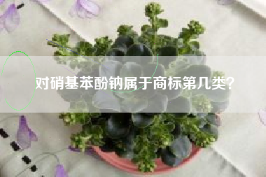对硝基苯酚钠属于商标第几类？
