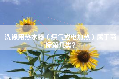 洗涤用热水器（煤气或电加热）属于商标第几类？