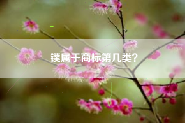 镤属于商标第几类？