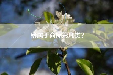 锛属于商标第几类？