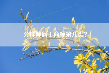 分样筛属于商标第几类？