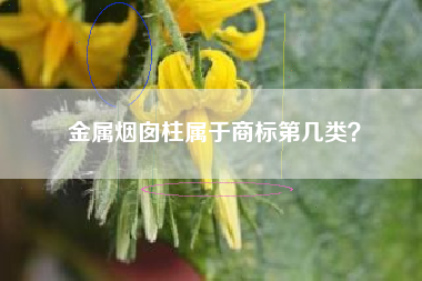 金属烟囱柱属于商标第几类？