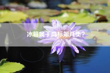 冰箱属于商标第几类? 冰箱属于商标第几类?