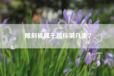 雕刻机属于商标第几类? 雕刻机属于商标第几类?