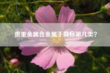 贵重金属合金属于商标第几类? 贵重金属合金属于商标第几类?