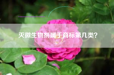 灭微生物剂属于商标第几类? 灭微生物剂属于商标第几类?