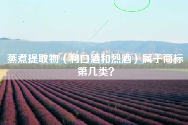 蒸煮提取物（利口酒和烈酒）属于商标第几类？