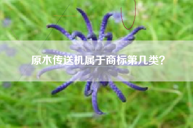 原木传送机属于商标第几类？