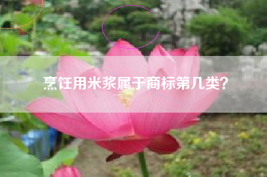 烹饪用米浆属于商标第几类？