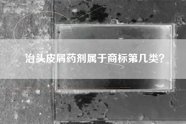 治头皮屑药剂属于商标第几类？
