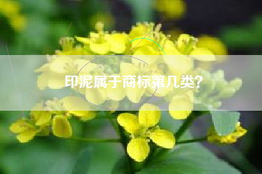 印泥属于商标第几类？
