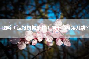 圆筛（造纸机械部件）属于商标第几类？
