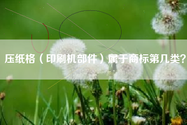 压纸格（印刷机部件）属于商标第几类？