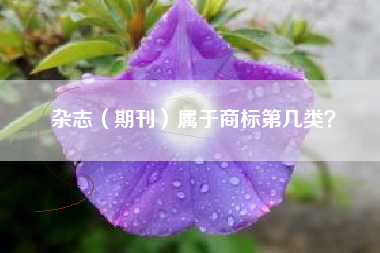 杂志(期刊)属于商标第几类? 杂志(期刊)属于商标第几类?