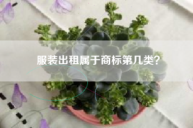 服装出租属于商标第几类？