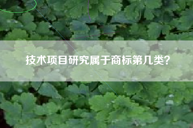 技术项目研究属于商标第几类? 技术项目研究属于商标第几类?