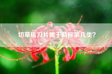 切草机刀片属于商标第几类？