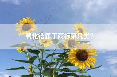 氧化锆属于商标第几类？