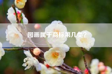 图画属于商标第几类？