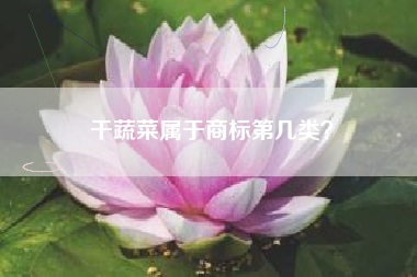 干蔬菜属于商标第几类？