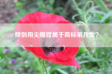 倾倒用尖嘴管属于商标第几类？