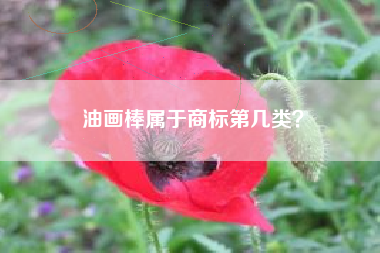 油画棒属于商标第几类？