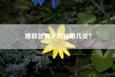 擦鞋器属于商标第几类？