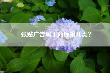 张贴广告属于商标第几类？