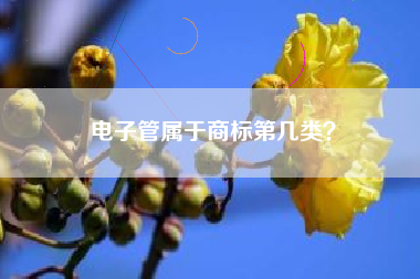 电子管属于商标第几类？